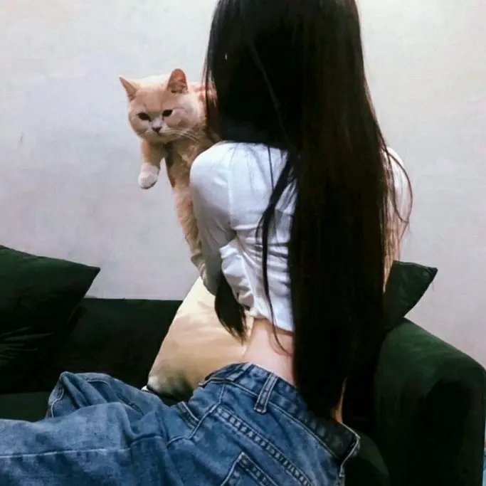赘婿之吉兴高照